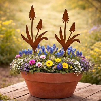 2er Set Perlhyazinthen